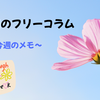 土曜日のフリーコラム☕​【中1の壁】2月は新学年の分かれ道。塾・スタサプを経て「Z会」を選んだわが家のリアル