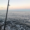 南伊豆ヒラスズキ＆青物釣行！！