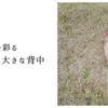 町を彩る小さな手と大きな背中