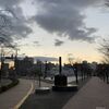 明るくなってきました