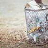 脱プラスチック～各社で進む環境問題への取り組み～