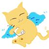 金ちゃん　ありがとう