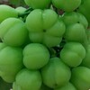 おはじきみたいなぶどうの粒🍇