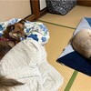 新型コロナ日記(3日目)/子どもリモート授業