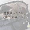 膀胱炎？１２月、２度目のおでかけ