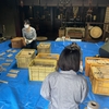 護摩木くくり