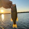 ５月のバスの釣り方