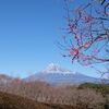 富士山日和。田子の浦ゆ、岩本山ゆ、裾野へ。