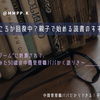 活字離れどころか回復中？親子で始める読書のすすめ