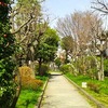 野川緑地公園_1（東京都狛江市）