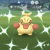 ヒポポタスの色違いをゲット Pokemon Go Get ヒポポタスの色違いをゲット Pokemon Go Get