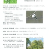 【地域情報】4/20（土）中野区の樹木と野鳥さんぽ