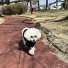 春の味覚。