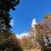 埼玉紅葉巡礼2023～物見山公園・平林寺