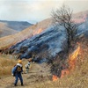 炎の線 山肌焦がす　阿蘇地域で野焼き始まる