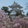 空から日本を見てみよう　―　大垣市～関ケ原　―