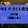 1037話「酒龍八卦」【ONEPIECE感想】