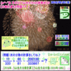 ［う山先生・分数］【算数】［中学受験］【う山先生からの挑戦状】その１８０