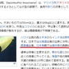 道南でアオリイカ釣り。