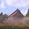 お詣りに行ってきました♪ 地元 八ヶ岳南麓 原山神社と熱那神社　その2