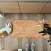 床が猫さんだらけ♪