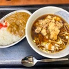 みのがさ（秋葉原）ゲソ天そば＋ミニカレー