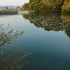 和田公園の池（静岡県菊川）