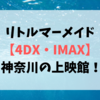 リトルマーメイド4DX・IMAX 神奈川の上映館！