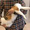トリちゃん日記＿抱っこでねんね