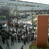 国会における翼賛化、日本のイスラエル化