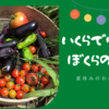 夏野菜経済教育