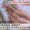 冬の天草で特産グルメ!｢幻の地鶏｣天草大王と車えびのキャンペーン