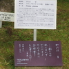 万葉歌碑を訪ねて（その１１０５）―奈良市春日野町　春日大社神苑萬葉植物園（６５）―万葉集　巻六　九四二