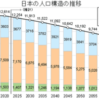 よこづな