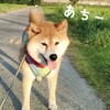 あちーっ！
