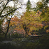 地元の紅葉めぐり Ⅰ