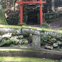 ボイジャー漂流記