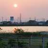下池（兵庫県神戸）