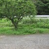 草刈りサンデー