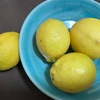こんな日々も。