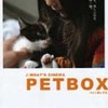 PETBOX連作『一億の猫』まもなく公開（11/18〜11/24まで）