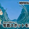 写真スポットを探せ！〜 MHWilds #082
