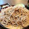 【グルメ・そば処 かんのや】仙台らしいざる蕎麦と、ミニかき揚げ丼が美味しい。仙台市 連坊駅 初訪問