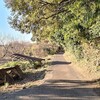 疲れがたまっているのかもしれない