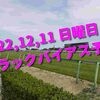 2022,12,11 日曜日 トラックバイアス予想 (中山競馬場、阪神競馬場、中京競馬場)