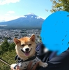 行ってきました②、だよ