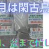 ７月は閑古鳥が鳴いていたのですが、８月に入ってからは、結構忙しい、お盆までの間だと思いますが