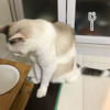 おトイレ事情　その１