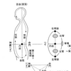 肛門閉めると頭頂が気持ちいい？