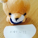 mechainuの日記